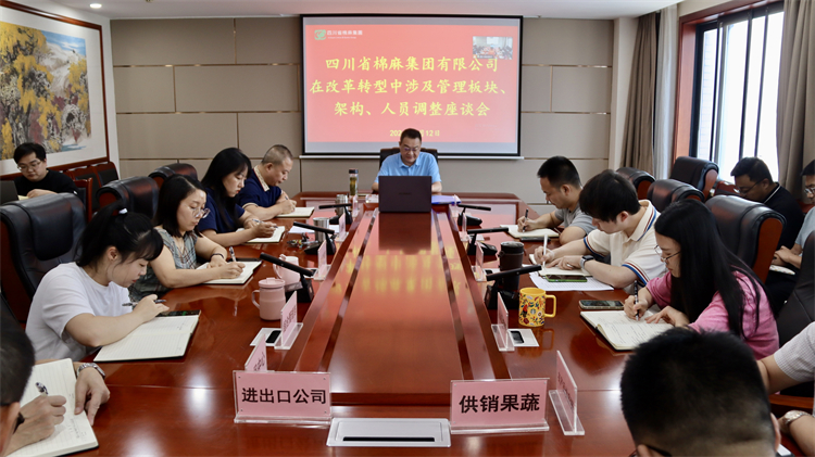 集團公司召開在改革轉(zhuǎn)型中涉及管理板塊、架構(gòu)、人員調(diào)整座談會