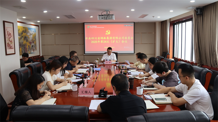 集團(tuán)公司召開2025年第24次黨委（擴(kuò)大）會(huì)議