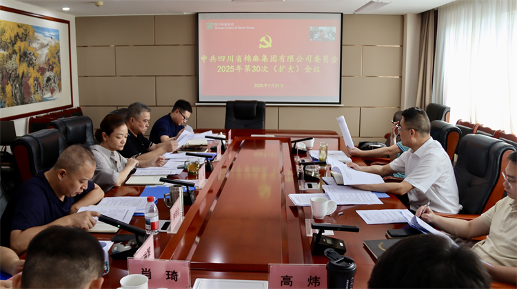 集團(tuán)公司召開(kāi)2025年第30次黨委（擴(kuò)大）會(huì)議