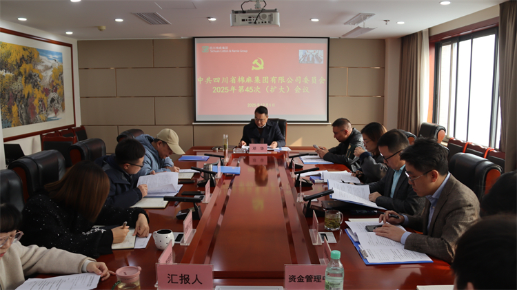 集團(tuán)公司召開2025年第45次黨委（擴(kuò)大）會議